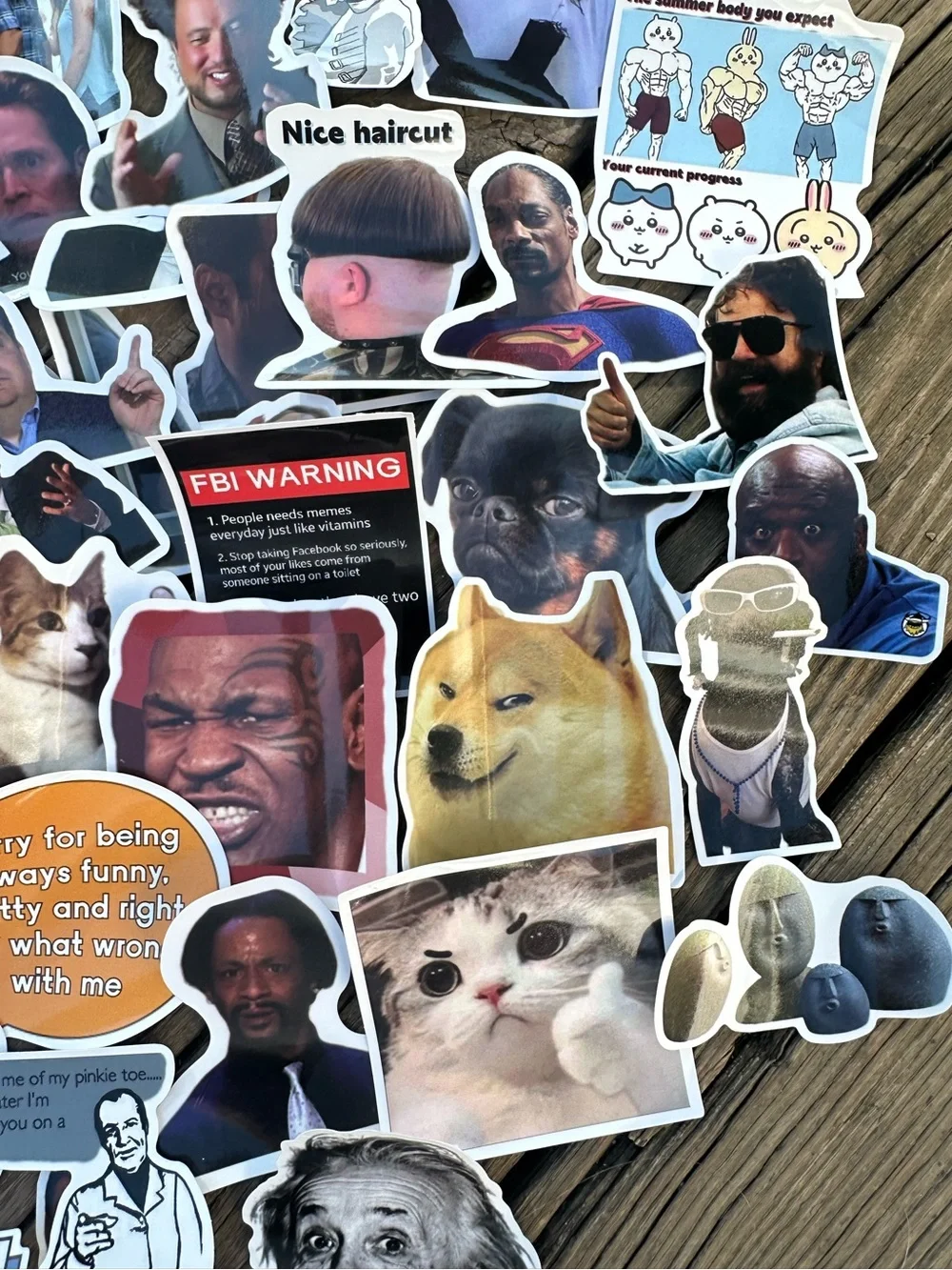 BUY NOW 50 Pc Random Mix Funny/Snarky Meme Waterproof Stickers